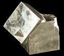 Pyrite Cube Cluster - Navajun, Spain #50221-1
